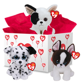 Ty Spots Bundle Exclusive Offer