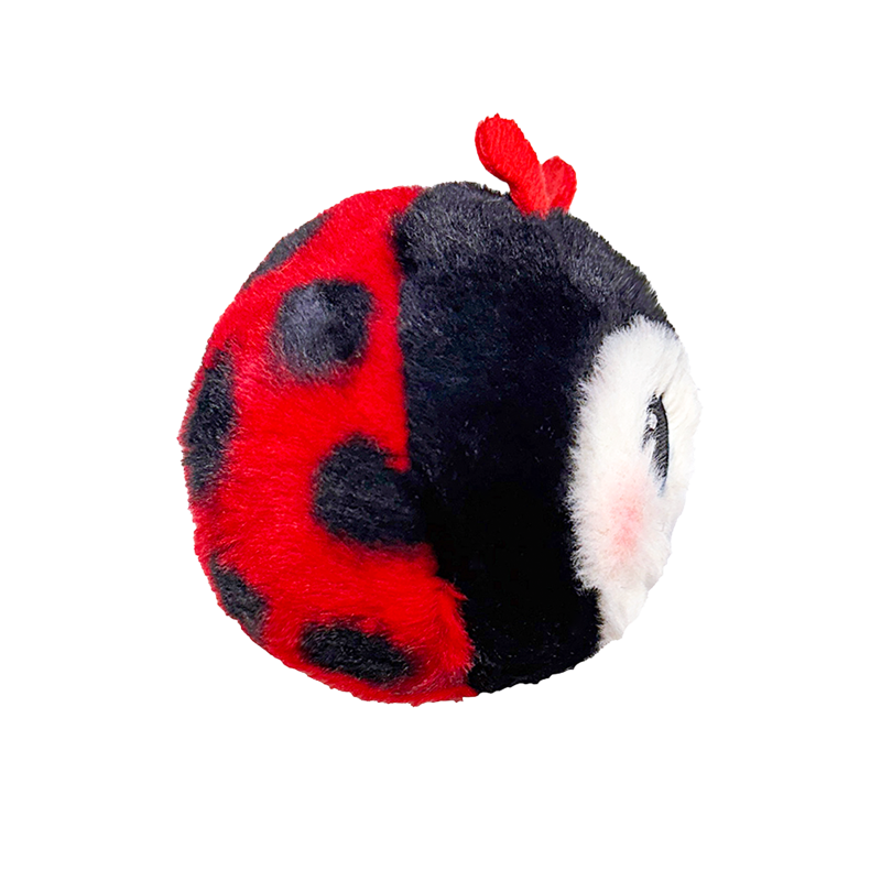 Ty Buggie Exclusive Offer