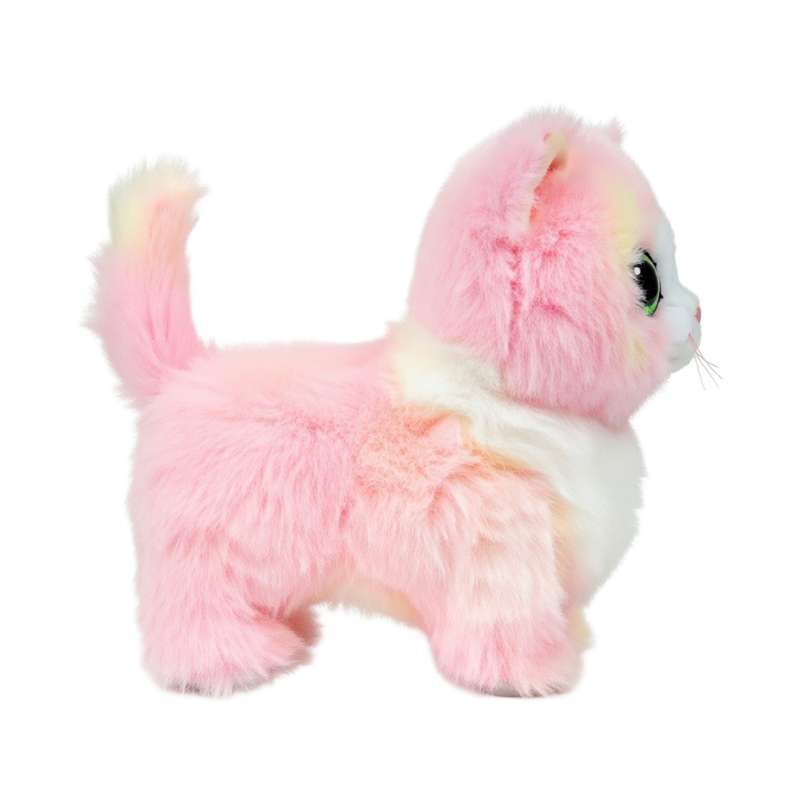 Ty Lady While Supplies Last