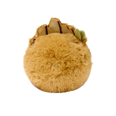 Ty Groot Popular Choice