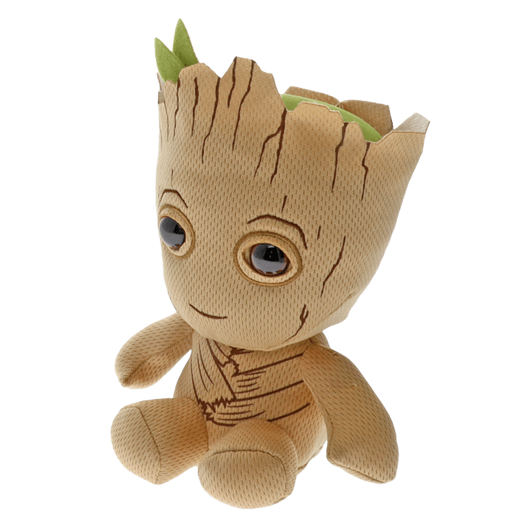 Ty Groot Exclusive Offer