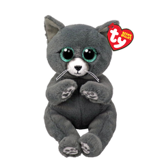 Ty Binx Exclusive Offer