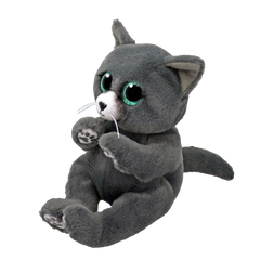 Ty Binx Exclusive Offer