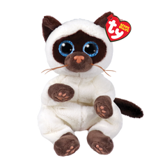Ty Miso Exclusive Offer